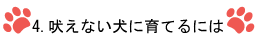 4.吠えない犬に育てるには